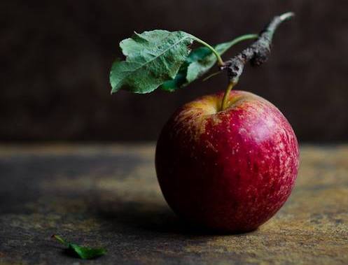 376896_454541804635350_670500540_n