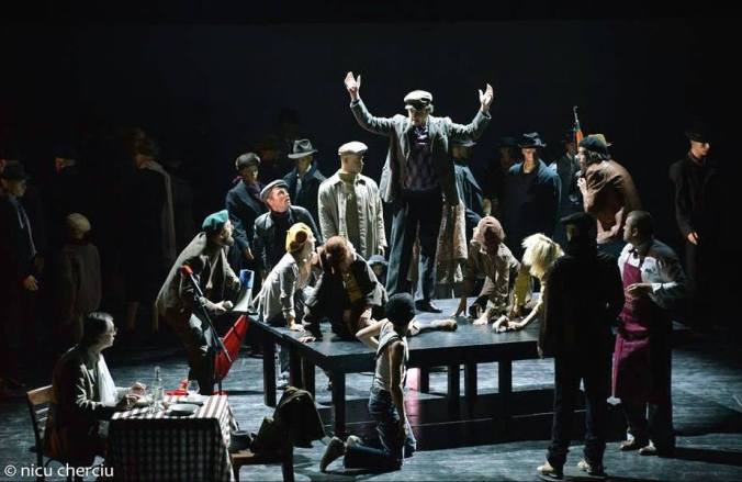 "Ce nemaipomenită aiureală!" foto: Nicu Cherciu